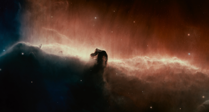 Illustration for article titled Gorgeous Tree of Life stills look like the greatest science epic of all time